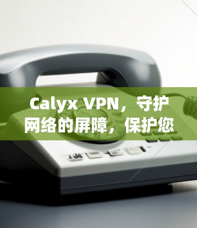 Calyx VPN，守护网络的屏障，保护您的数据安全