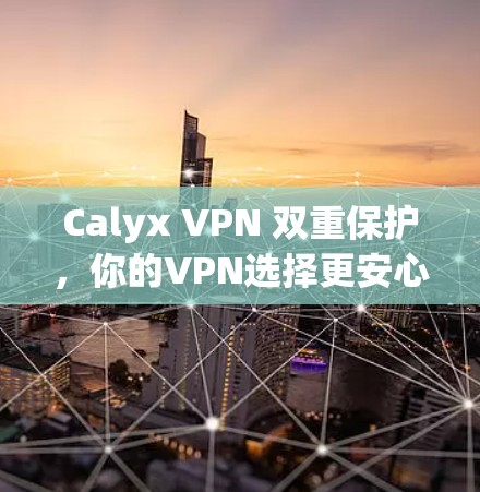 Calyx VPN 双重保护,你的VPN选择更安心 Calyx VPN 双重保护,你的VPN选择更安心