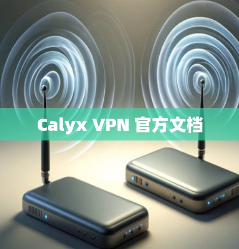 Calyx VPN 官方文档