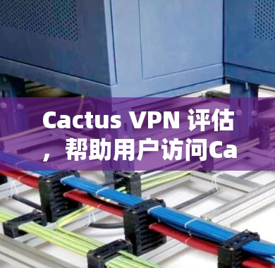 Cactus VPN 评估，帮助用户访问Cactus项目的技术解决方案