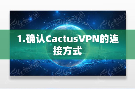 1.确认CactusVPN的连接方式