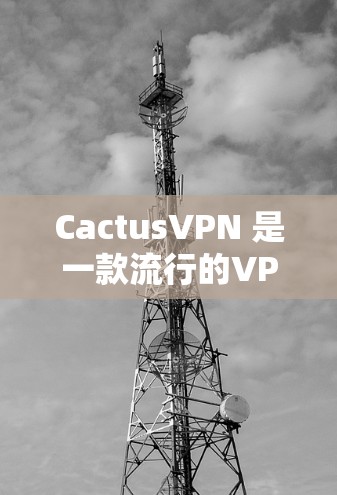 CactusVPN 是一款流行的VPN 应用程序，旨在提供安全、可靠和高效的VPN连接。它允许用户远程登录、远程工作、远程访问以及更广泛的网络访问。CactusVPN 的主要特点包括