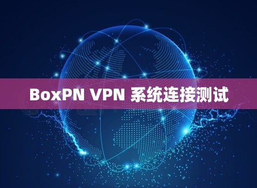 BoxPN VPN 系统连接测试
