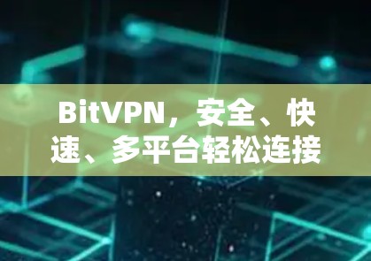 BitVPN，安全、快速、多平台轻松连接