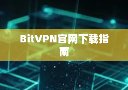 BitVPN官网下载指南