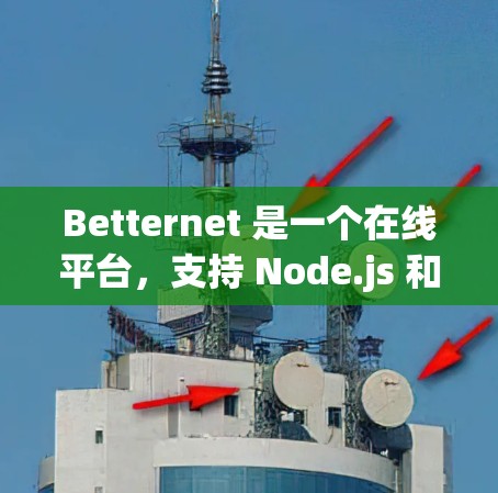 Betternet 是一个在线平台，支持 Node.js 和 Python，专为 Node.js 应用提供访问和管理服务的能力。以下是对 Betternet 节点管理的详细说明，分为几个步骤进行介绍