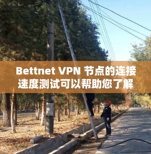 Bettnet VPN 节点的连接速度测试可以帮助您了解 Bettnet VPN 的性能和稳定性。以下是对 Bettnet VPN 节点连接的速率测试分析