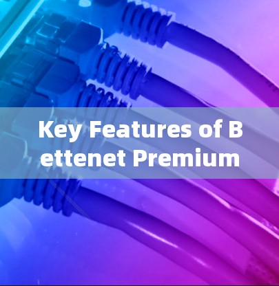 Key Features of Bettenet Premium 6.4.