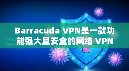Barracuda VPN是一款功能强大且安全的网络 VPN 解决方案，适合多种网络环境下的需求。以下是对其网络防护的详细分析