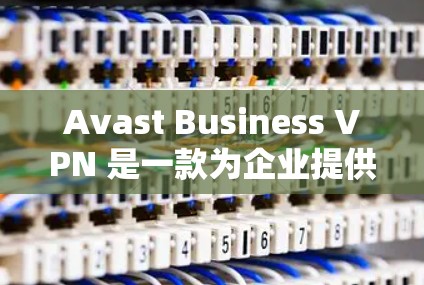 Avast Business VPN 是一款为企业提供安全网络工具的软件，支持多语言使用，适合企业和个人合规需求。以下是下载和使用 Avast Business VPN 的步骤