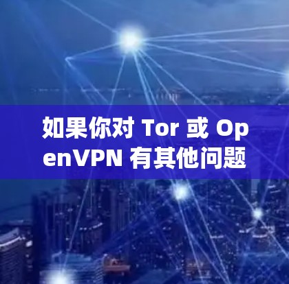 如果你对 Tor 或 OpenVPN 有其他问题，可以告诉我，我会尽力帮你解答！