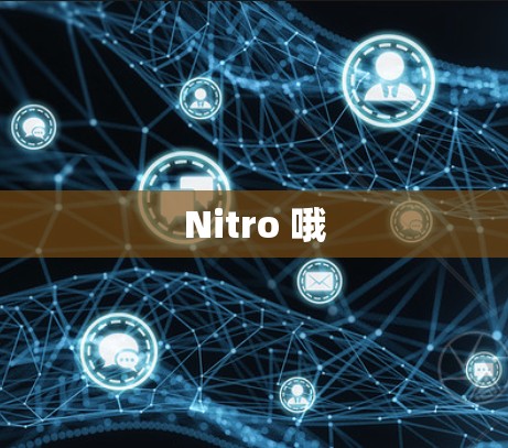 Nitro 哦