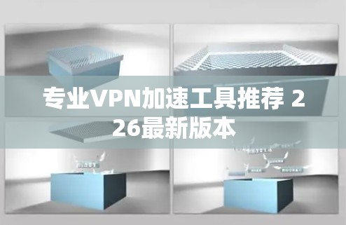 专业VPN加速工具推荐 226最新版本