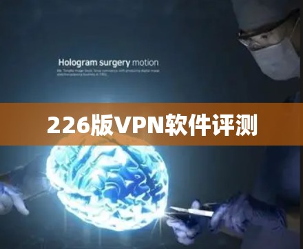 226版VPN软件评测