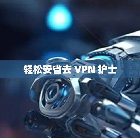 轻松安省去 VPN 护士