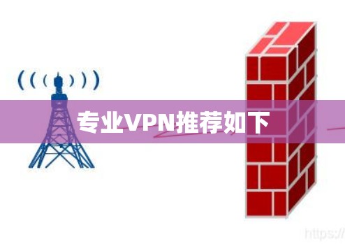 专业VPN推荐如下