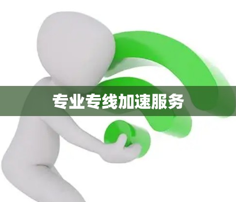 专业专线加速服务