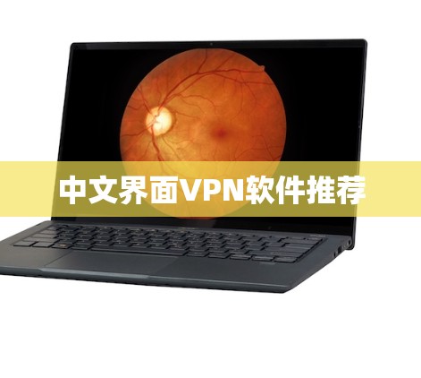 中文界面VPN软件推荐