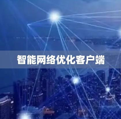 智能网络优化客户端