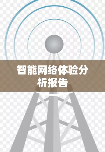 智能网络体验分析报告